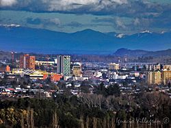 View of Los Ángeles from the Cerro Curamávida.