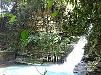 Waterfall at Las Pozas.jpg