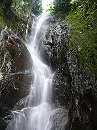 Waterfall in Venezuela