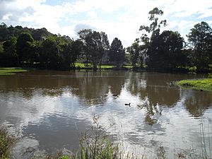 Waterlily Park, Ocean Shores, NSW 2014