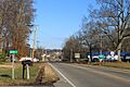 White Pine Tennessee 25E