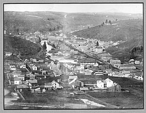 Aeriel view of Colfax, Washington looking north, 1889 - DPLA - 5ead312fc4495fd94ea119a09db04ab5