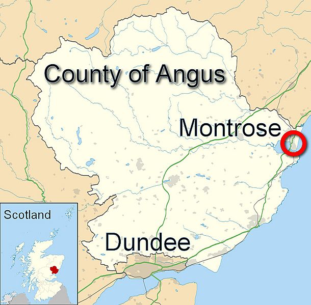 Angus-Montrose