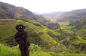 Banaue Rice Terraces and its statue friend