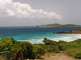 Beach at Culebra Island, Puerto Rico