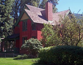 A brick house with green wooden trim, porch and cross-gabled roof with tall brick chimney seen from its front left, with some large shrubs partially obscuring the view.