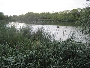 Brent reservoir northern arm
