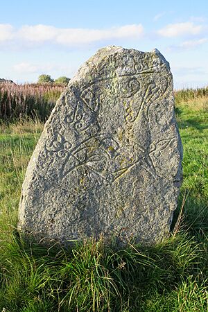 Broomend of Crichie Stone Circle (4) (geograph 5555392).jpg