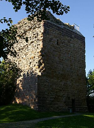 Burgruine Kalsmunt