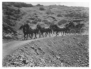 Captain Banning driving first stage on Santa Catalina Island, ca.1895-1900 (CHS-839)