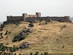 Castillo de Medellin2