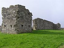 Castlederg Castle - geograph.org.uk - 371758