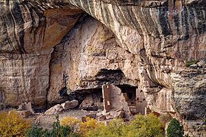 Cliff Palace, Mesa Verde Park, Colorado, US (29)