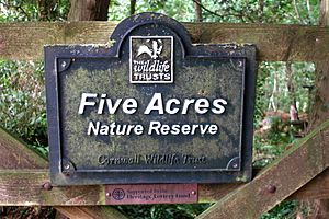 Cornwall Wildlife Trust - Five Acres Reserve