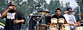 Cypress Hill crop