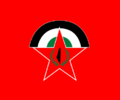 Democratic Front for the Liberation of Palestine - Flag