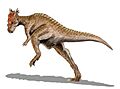 Dracorex BW