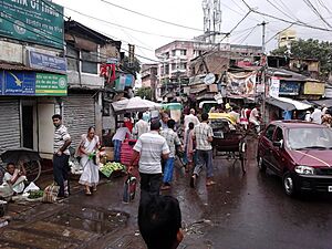 Dum Dum Road - Kolkata 2011-09-11 00548