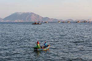 Fishing day in the Chimbote bay