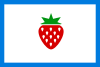 Flag of Searcy County