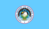 Flag of the United States National Imagery and Mapping Agency.svg