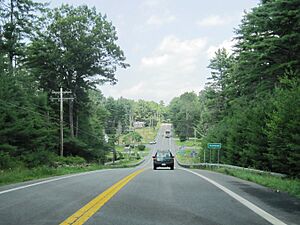 Hamlet of Forestburgh within the town