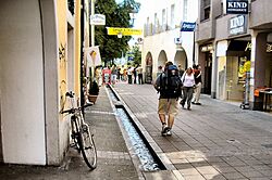 Friburgo Ruscelli nel Centro -- Freiburg with the city center streams