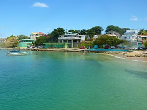 Fuera la Marina de Vieques Ya, Puerto Rico