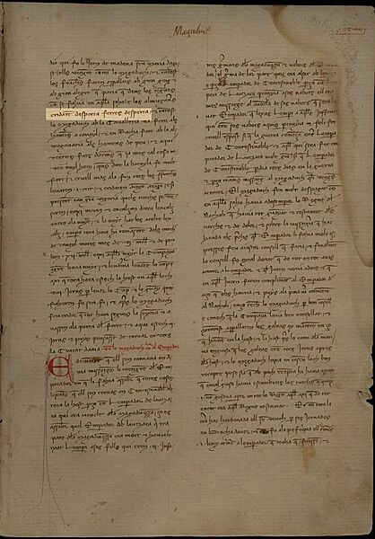 Gran-Companyia-Catalana-Desperta-Ferres-Desperta-Batalla-Taure-15-agost-1304