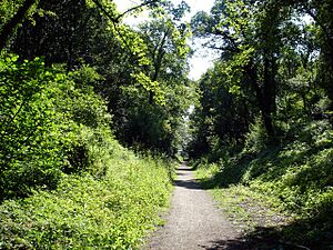 Hadleigh Railway Walk - geograph.org.uk - 1370611