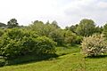 Harlow Marsh, Parndon Moat Marsh 1