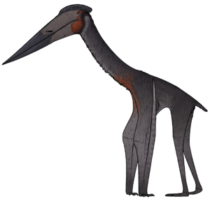 Hatzegopteryx thambema