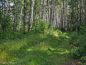 Height of Land Portage