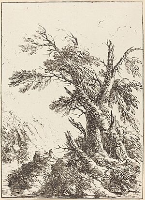 Henry Richard Greville, 3rd earl of Warwick, Landscape with Old Trees by Water, 1803, NGA 33895