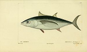 Histoire naturelle des poissons (10438834583)