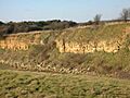 Ironstone Quarry Face - geograph.org.uk - 120209