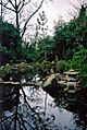 Japanese garden Lady Dixon Park