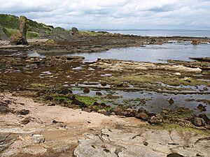 Kinkell Harbour - geograph.org.uk - 957280