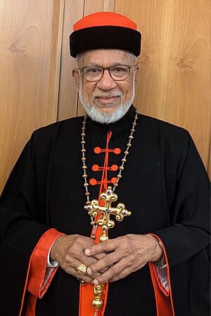 Mar George Alencherry Syro-Malabar