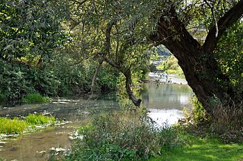 Marsh creek at ansonia.jpg