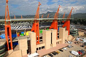 Mbombela Stadium giraffe roof supports