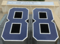 Michael Irvin's number