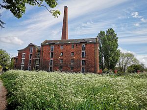 Mill at Wem with Flowers