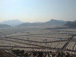 Mina Overview
