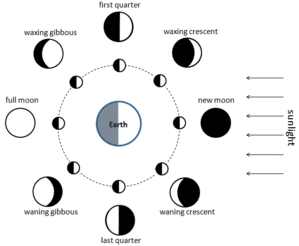 phases of the moon diagram for kids