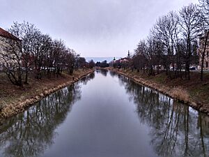 Morava river in Olomouc 01