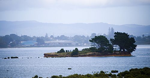 NGARANGO OTAINUI Island Picture