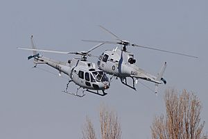 Navy squirrel helicopter acrobatics display