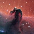Nebulosa testa di cavallo con SPECULOOS