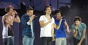 One Direction 2, 2013